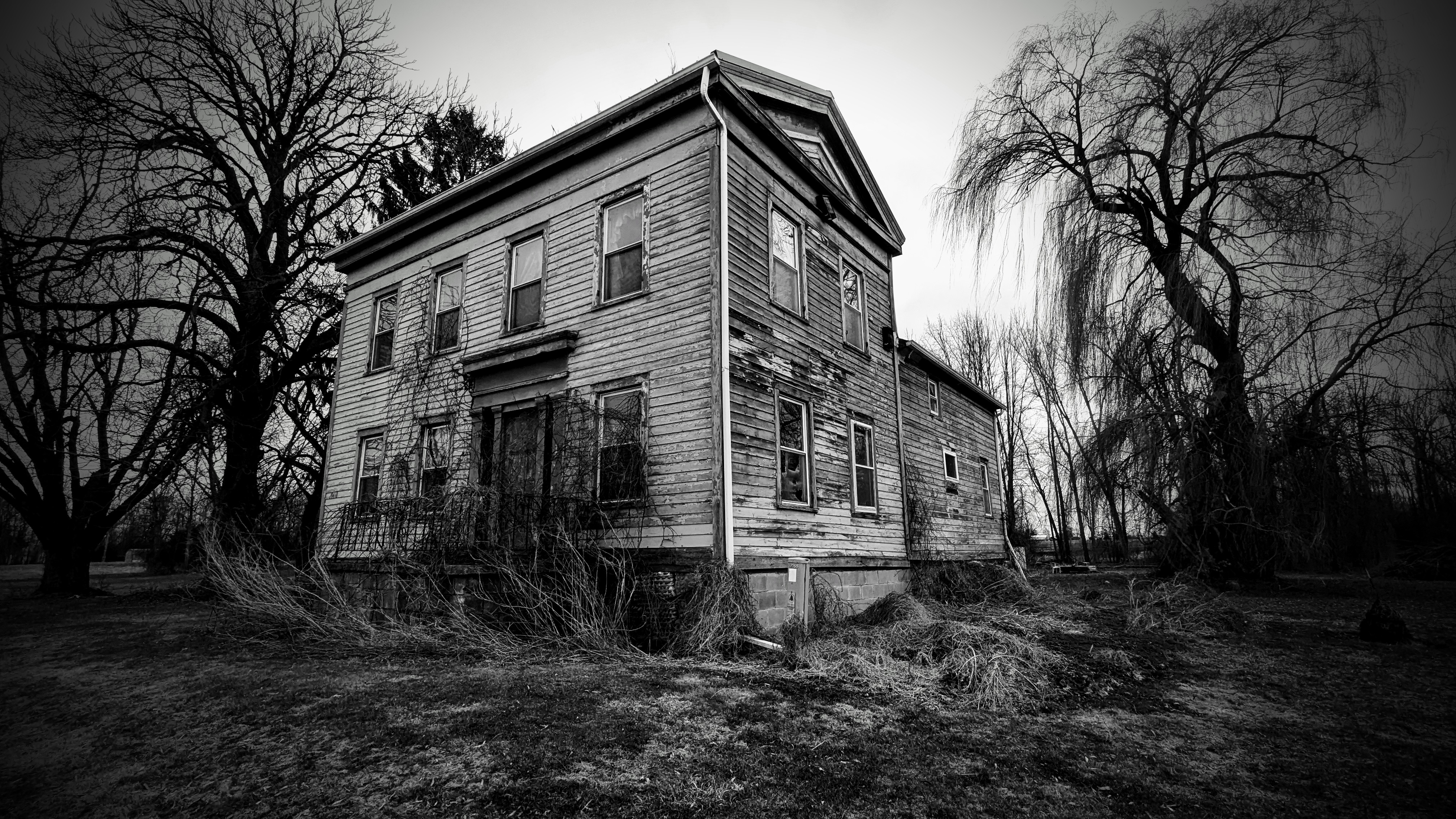 The House on Hoffman Road